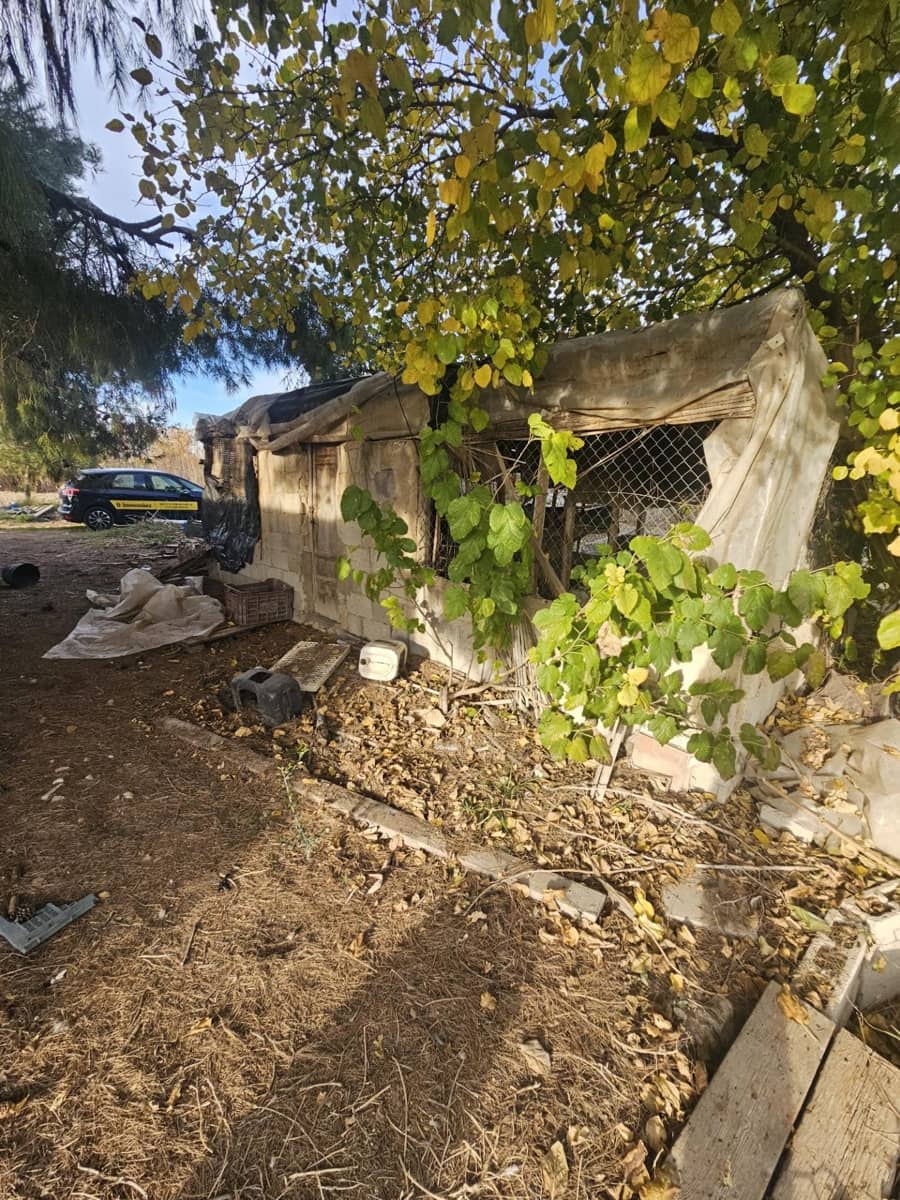 Terreno/Finca Rústica en Dolores en venta - 32.000 € (Ref: 9446453)