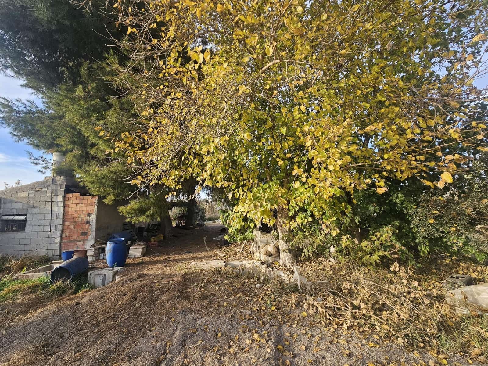 Terreno/Finca Rústica en Dolores en venta - 32.000 € (Ref: 9446453)