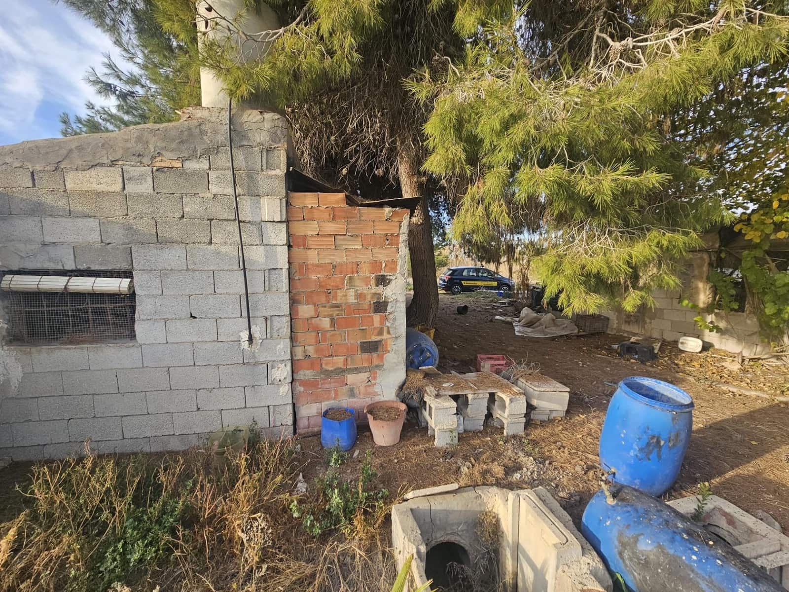 Terreno/Finca Rústica en Dolores en venta - 32.000 € (Ref: 9446453)