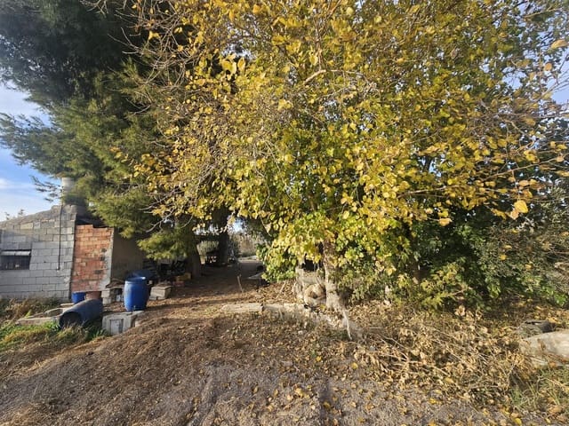 Terreno/Finca Rústica en Dolores en venta - 32.000 € (Ref: 9446453)