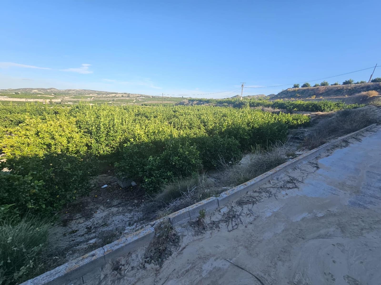 Tontti myytävänä paikassa Bigastro - 714 000 € (Ref: 9527787)