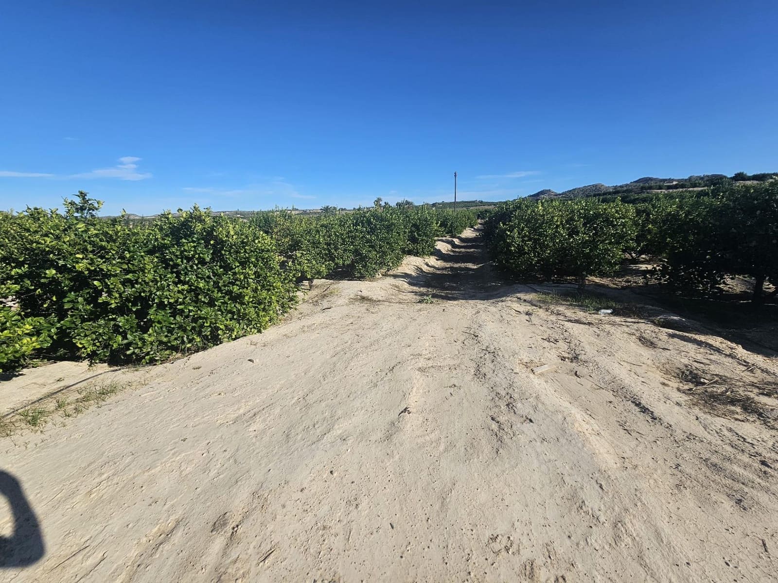 Tontti myytävänä paikassa Bigastro - 714 000 € (Ref: 9527787)