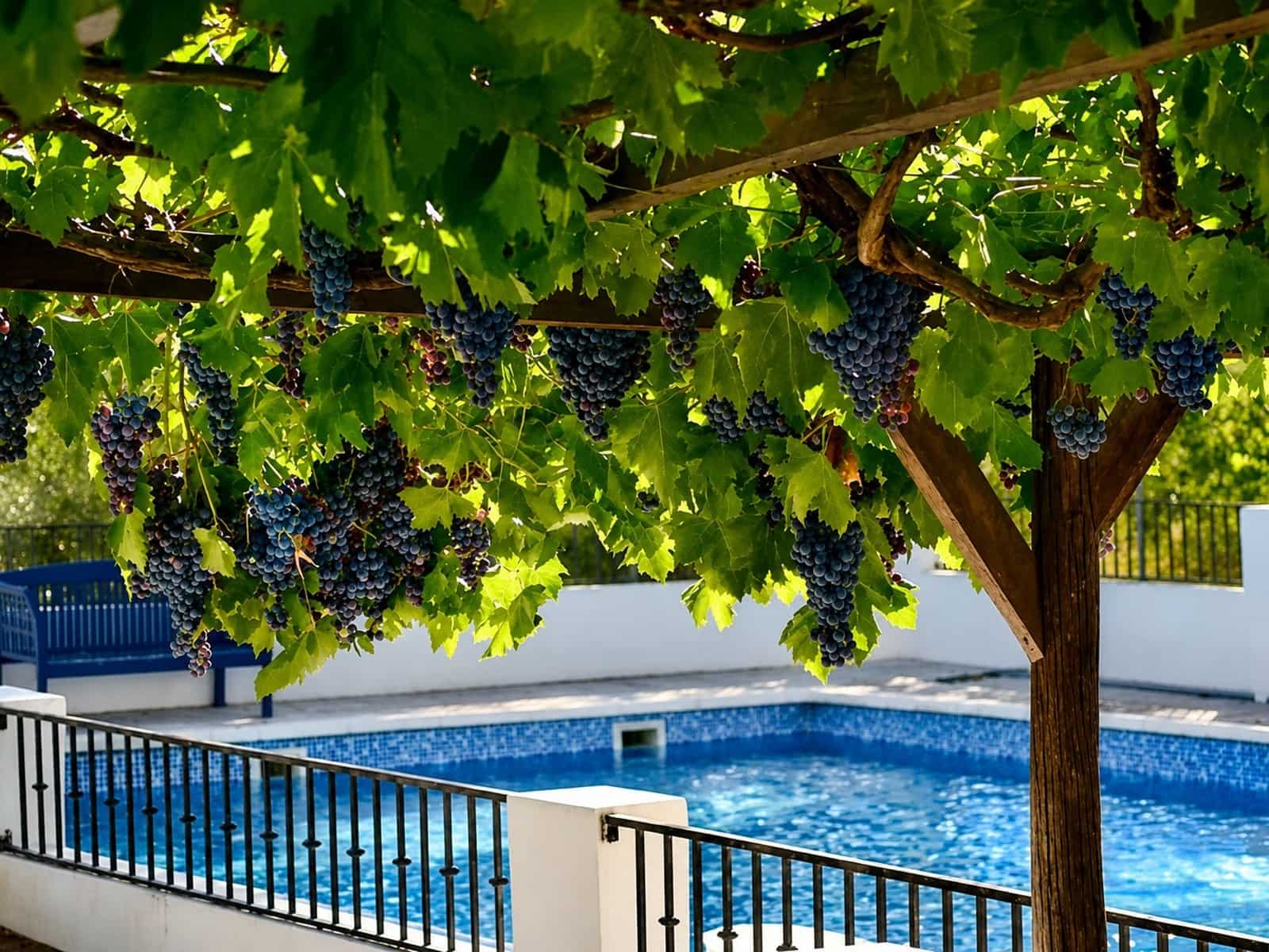 16 soveværelse Finca/Landehus til salg i Caniles med swimmingpool garage - € 995.000 (Ref: 10004682)