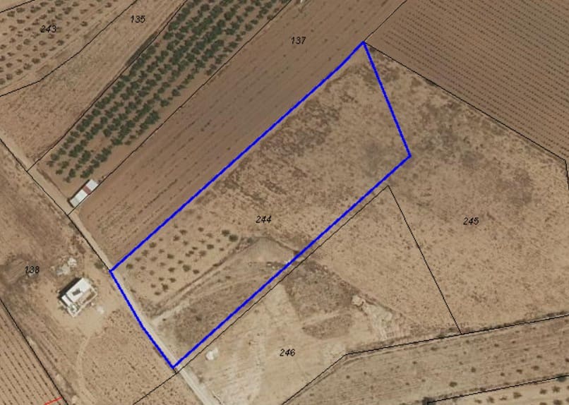 Undeveloped Land for sale in Pinoso - € 47,500 (Ref: 10012423)