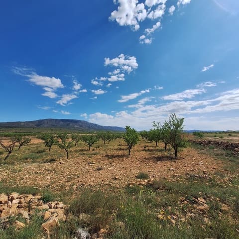 Undeveloped Land for sale in Pinoso - € 47,500 (Ref: 10012423)
