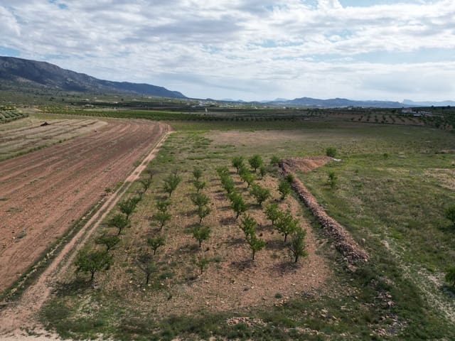 Undeveloped Land for sale in Pinoso - € 47,500 (Ref: 10012423)