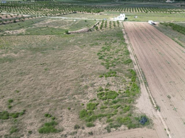 Undeveloped Land for sale in Pinoso - € 47,500 (Ref: 10012423)