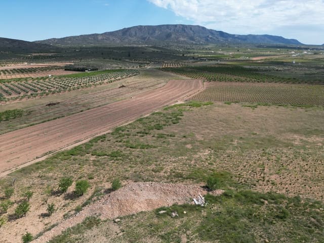 Undeveloped Land for sale in Pinoso - € 47,500 (Ref: 10012423)