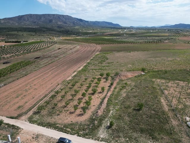 Undeveloped Land for sale in Pinoso - € 47,500 (Ref: 10012423)