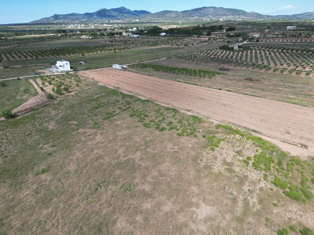 Undeveloped Land for sale in Pinoso - € 47,500 (Ref: 10012423)