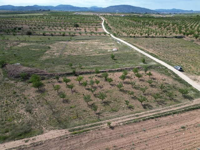 Undeveloped Land for sale in Pinoso - € 47,500 (Ref: 10012423)