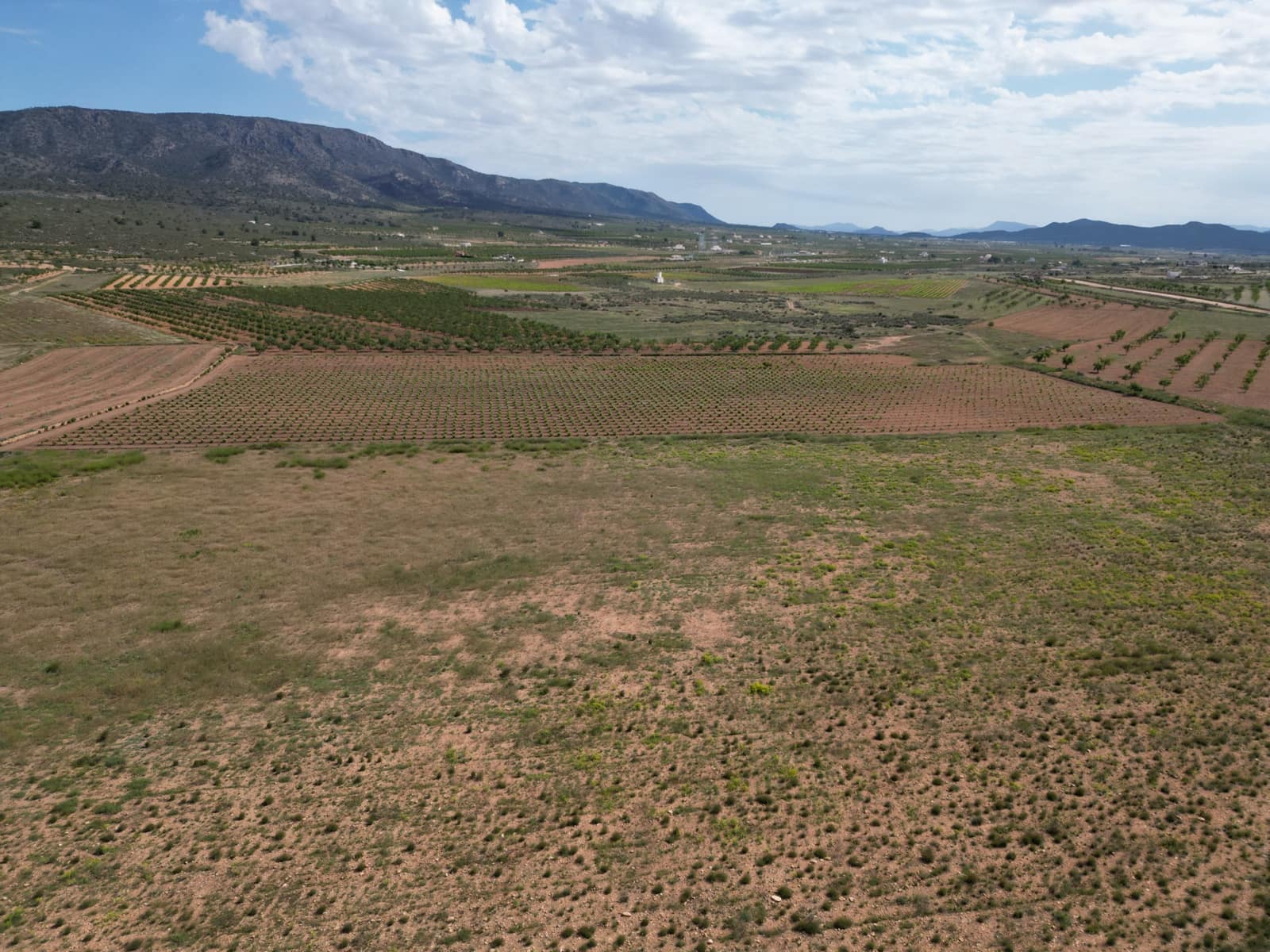 Ubebygd land til salgs i Pinoso - € 49 500 (Ref: 10012434)