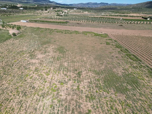 Mark till salu i Pinoso - 49 500 € (Ref: 10012434)
