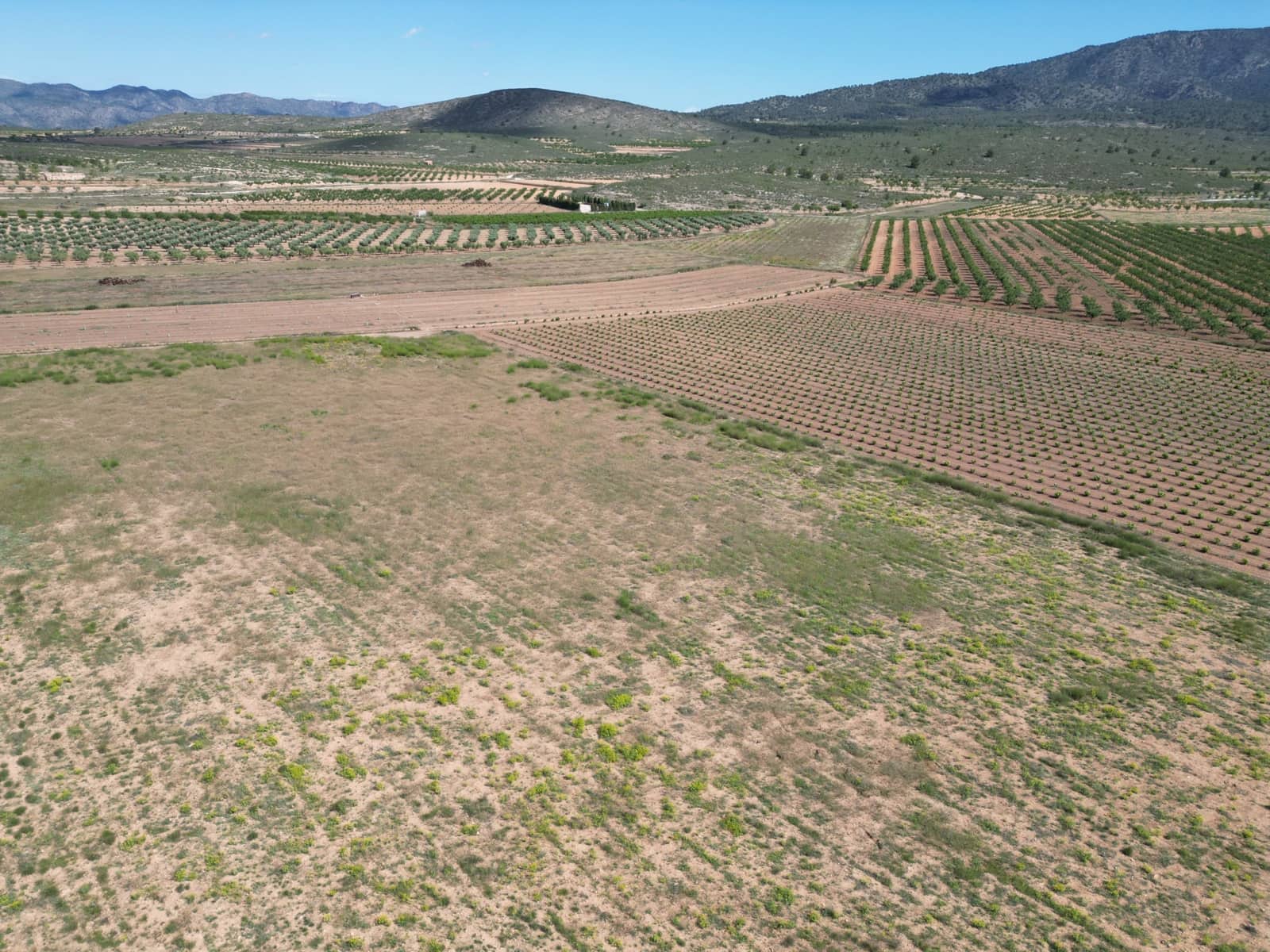 Ubebygd land til salgs i Pinoso - € 49 500 (Ref: 10012434)