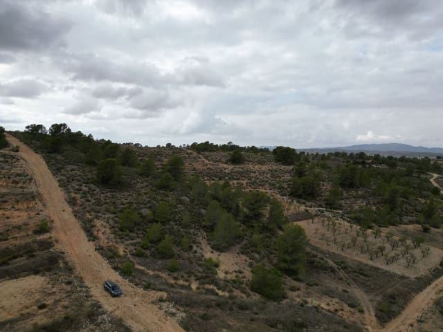 Bauplatz zu verkaufen in La Zarza, Jumilla - 35.000 € (Ref: 10012435)