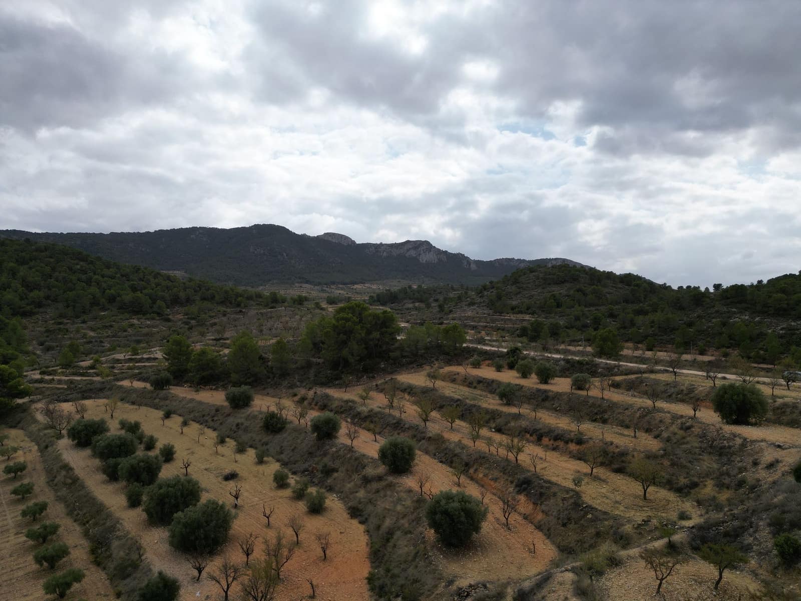 Bauplatz zu verkaufen in La Zarza - 35.000 € (Ref: 10012435)