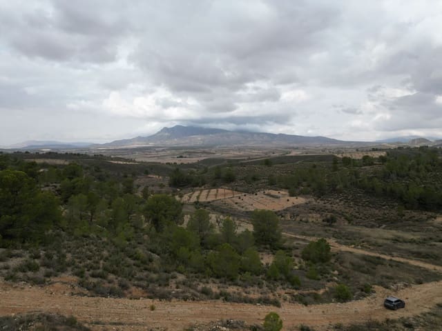 Bauplatz zu verkaufen in La Zarza, Jumilla - 35.000 € (Ref: 10012435)
