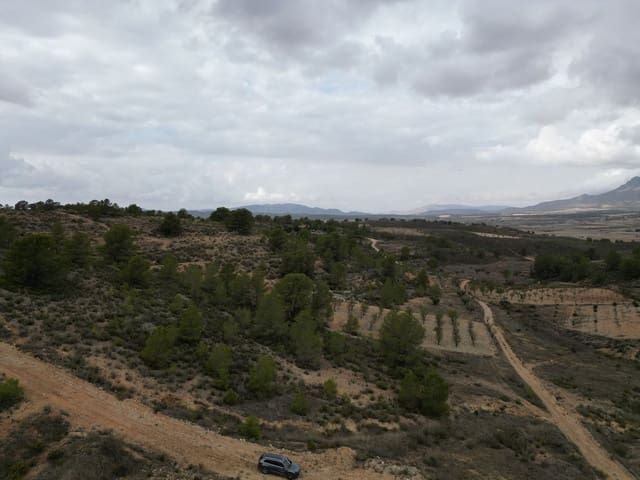 Bauplatz zu verkaufen in La Zarza, Jumilla - 35.000 € (Ref: 10012435)