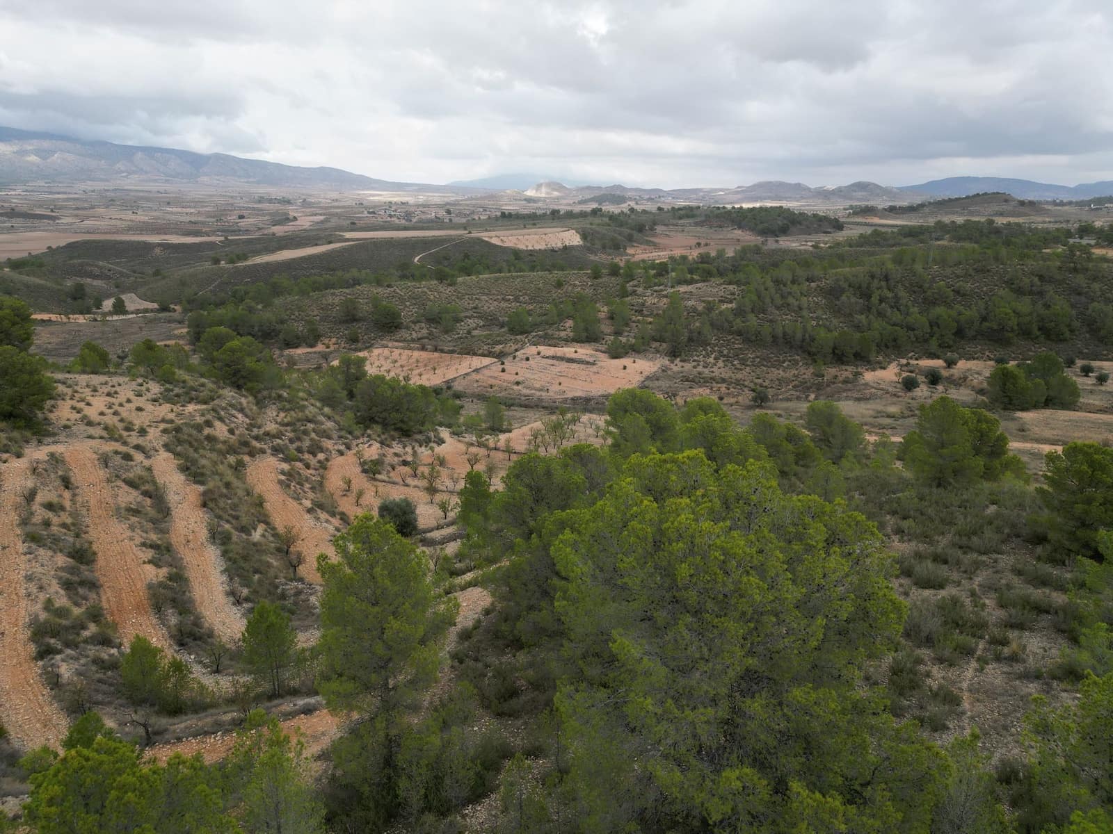 Bauplatz zu verkaufen in La Zarza - 35.000 € (Ref: 10012435)