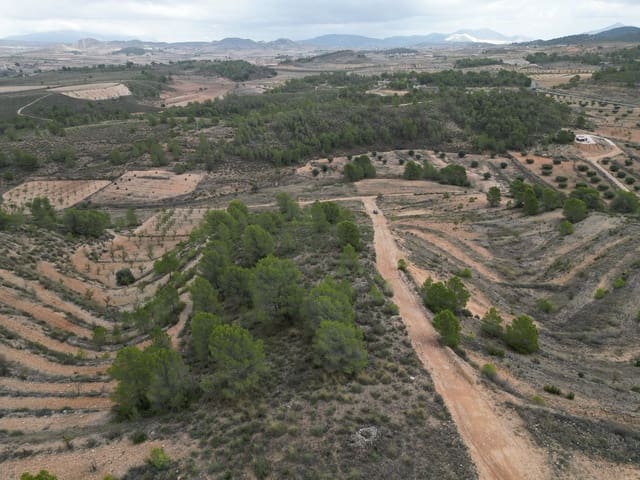 Bauplatz zu verkaufen in La Zarza, Jumilla - 35.000 € (Ref: 10012435)