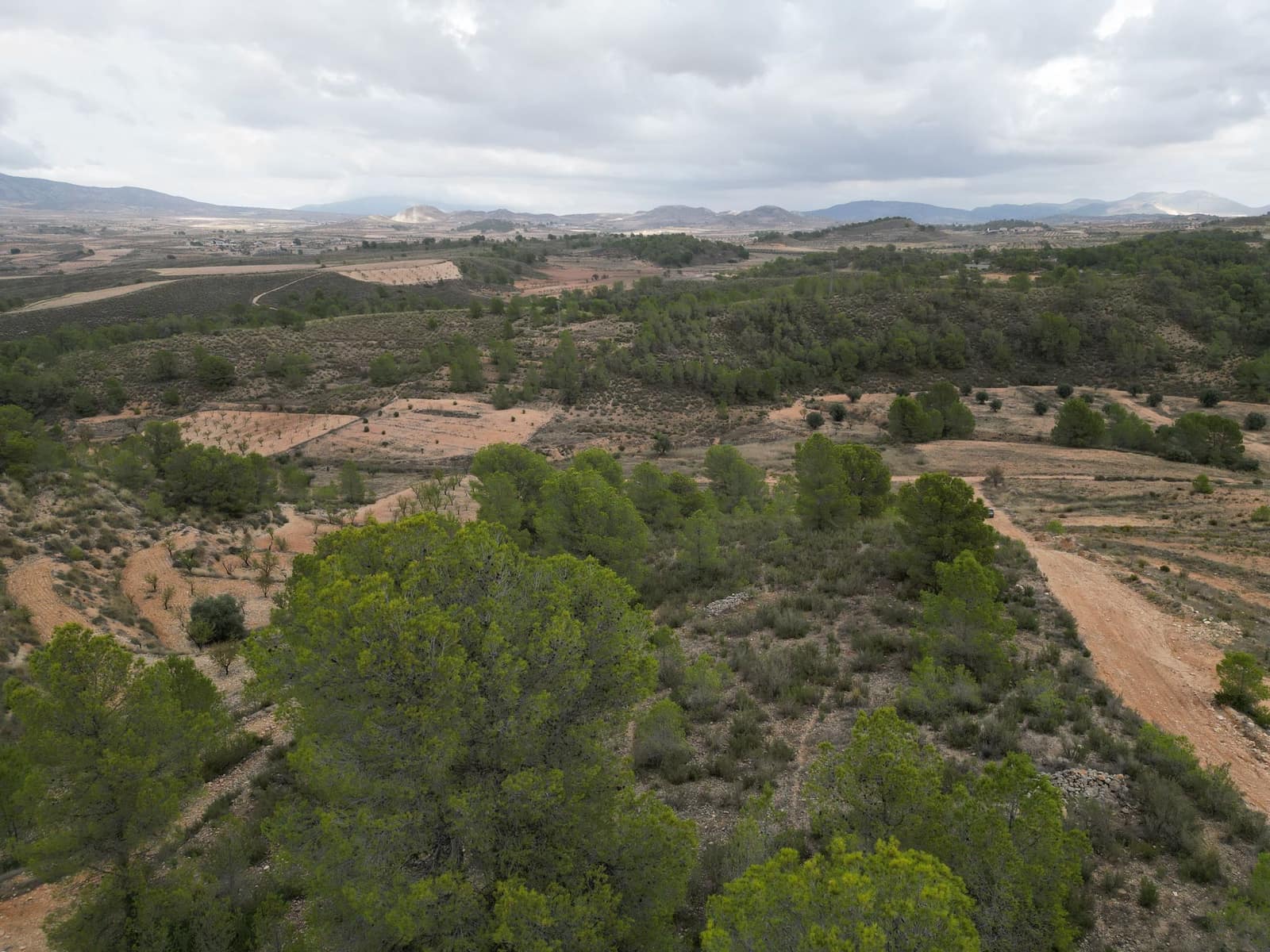 Bauplatz zu verkaufen in La Zarza - 35.000 € (Ref: 10012435)