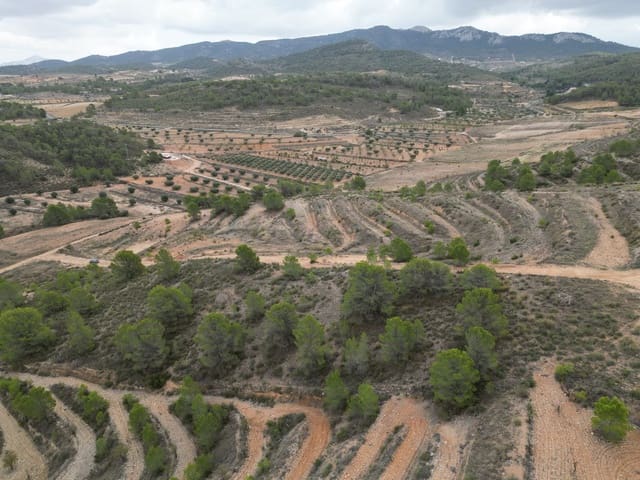 Bauplatz zu verkaufen in La Zarza, Jumilla - 35.000 € (Ref: 10012435)