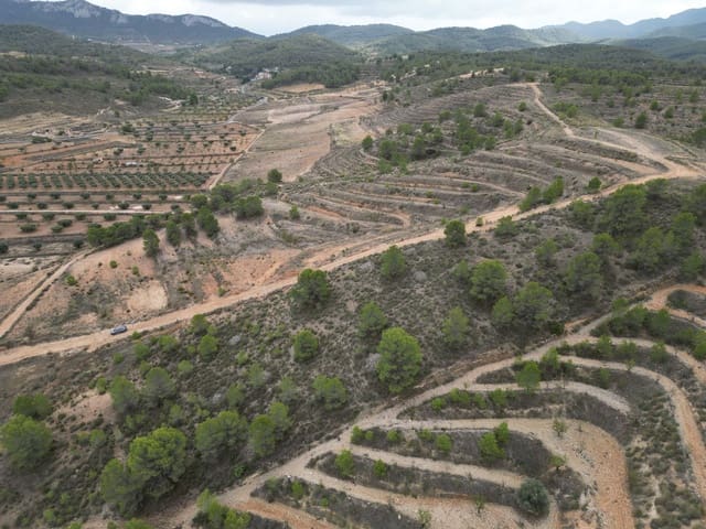 Bauplatz zu verkaufen in La Zarza, Jumilla - 35.000 € (Ref: 10012435)