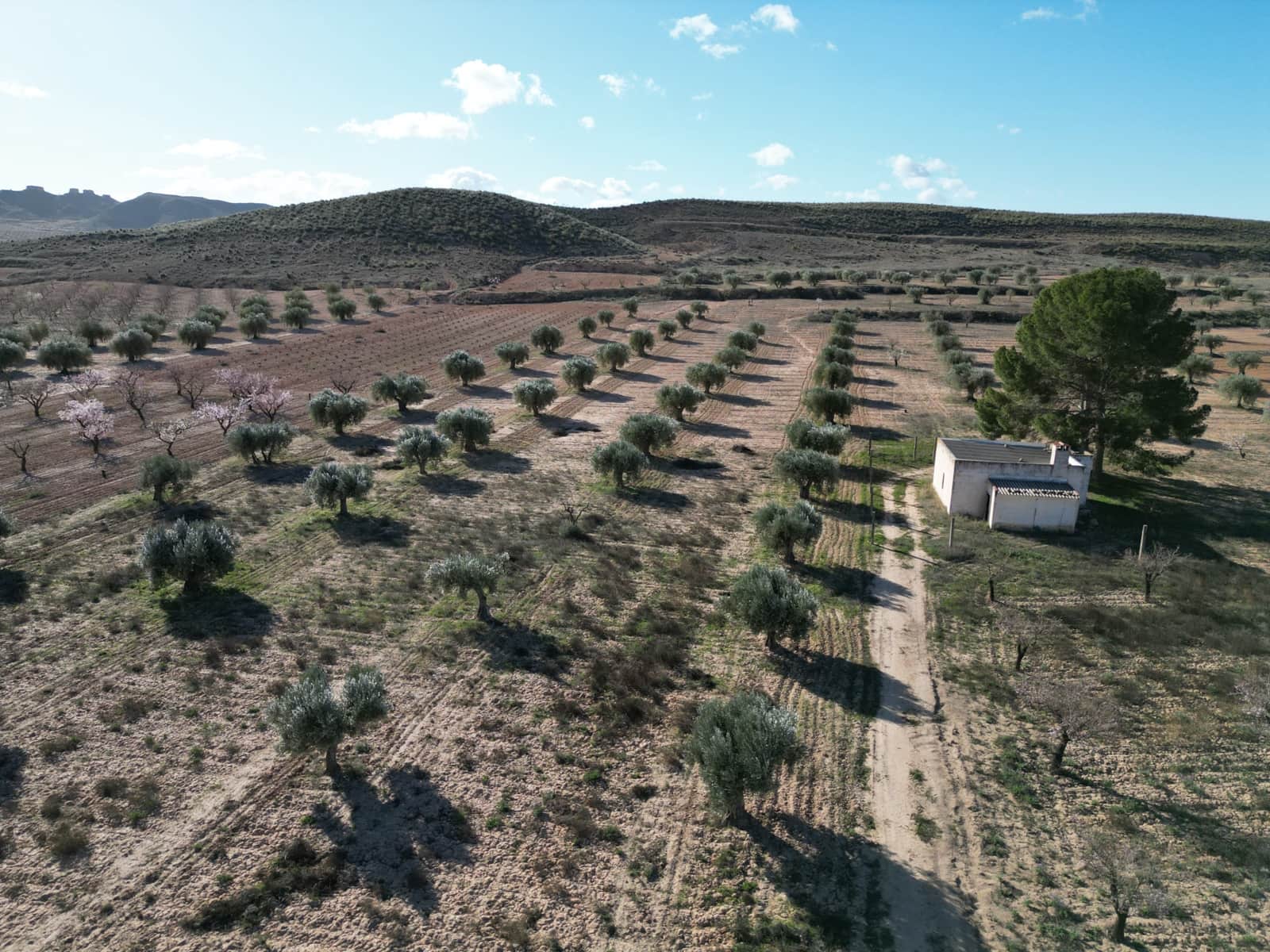 Bauplatz zu verkaufen in La Alqueria - 105.000 € (Ref: 10012437)