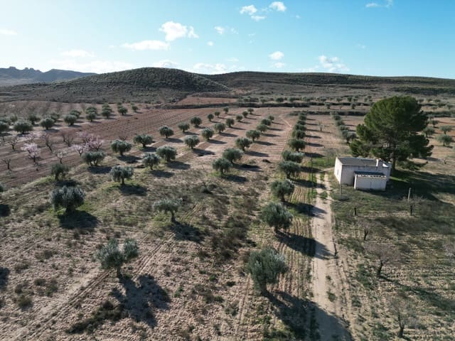 Bauplatz zu verkaufen in La Alqueria, Jumilla - 105.000 € (Ref: 10012437)