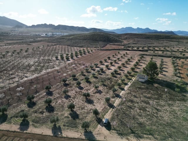 Bauplatz zu verkaufen in La Alqueria, Jumilla - 105.000 € (Ref: 10012437)