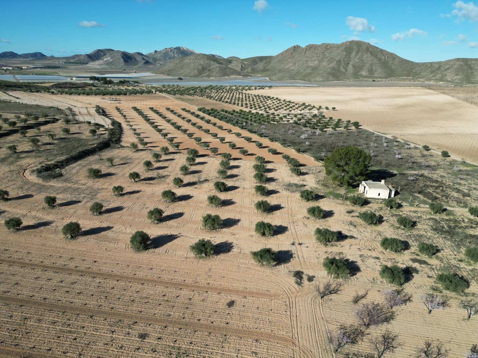 Bauplatz zu verkaufen in La Alqueria - 105.000 € (Ref: 10012437)