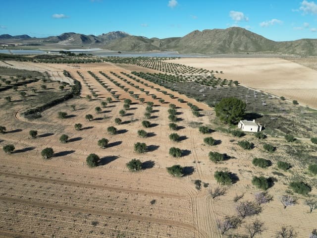 Bauplatz zu verkaufen in La Alqueria, Jumilla - 105.000 € (Ref: 10012437)