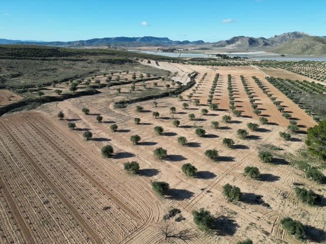 Bauplatz zu verkaufen in La Alqueria, Jumilla - 105.000 € (Ref: 10012437)