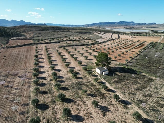 Bauplatz zu verkaufen in La Alqueria, Jumilla - 105.000 € (Ref: 10012437)