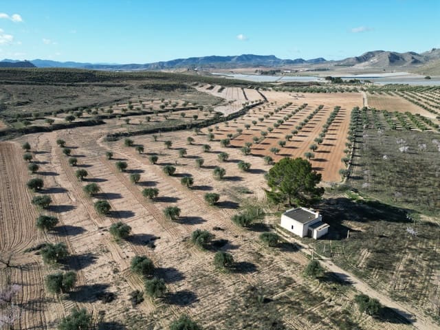 Bauplatz zu verkaufen in La Alqueria, Jumilla - 105.000 € (Ref: 10012437)