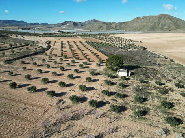 Bauplatz zu verkaufen in La Alqueria, Jumilla - 105.000 € (Ref: 10012437)