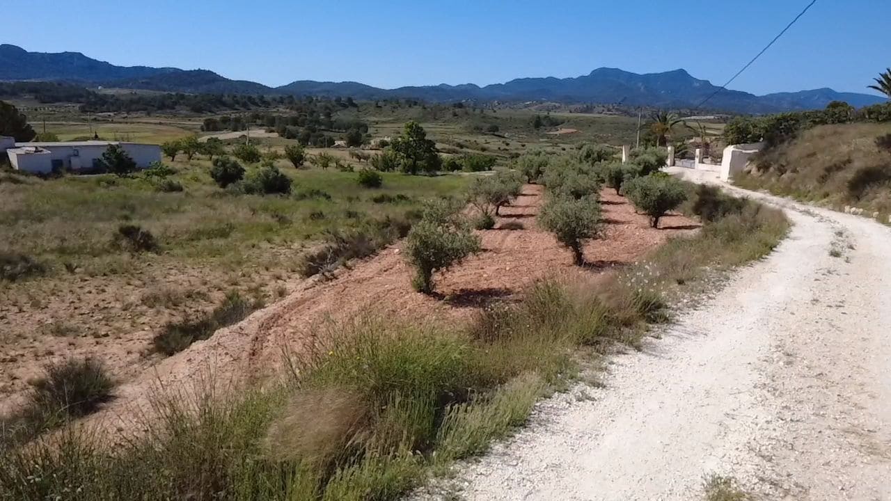 3 soverom Finca/Herregård til salgs i Pinoso - € 184 900 (Ref: 10012445)