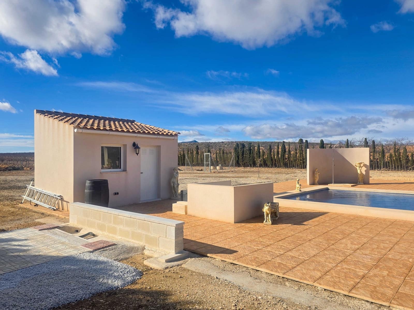 Chalet de 4 habitaciones en Pinoso en venta con piscina - 399.995 € (Ref: 10012446)