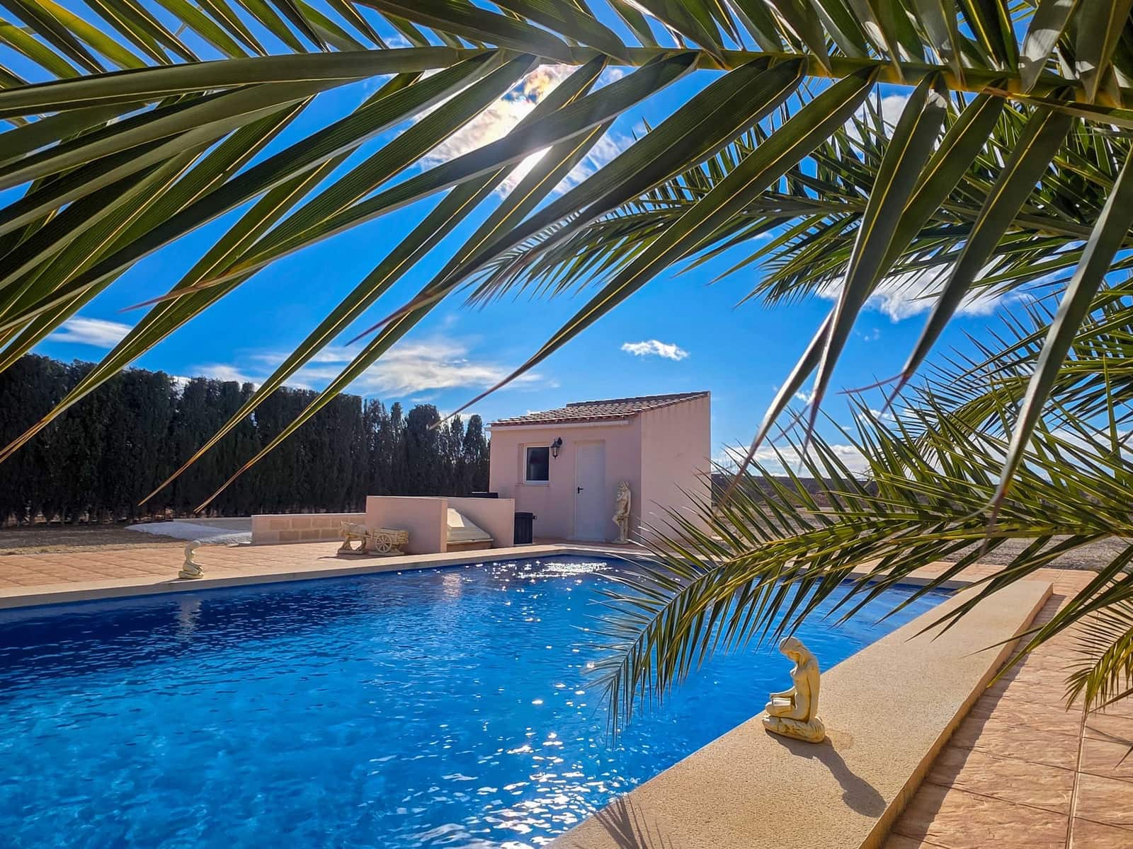 Chalet de 4 habitaciones en Pinoso en venta con piscina - 399.995 € (Ref: 10012446)