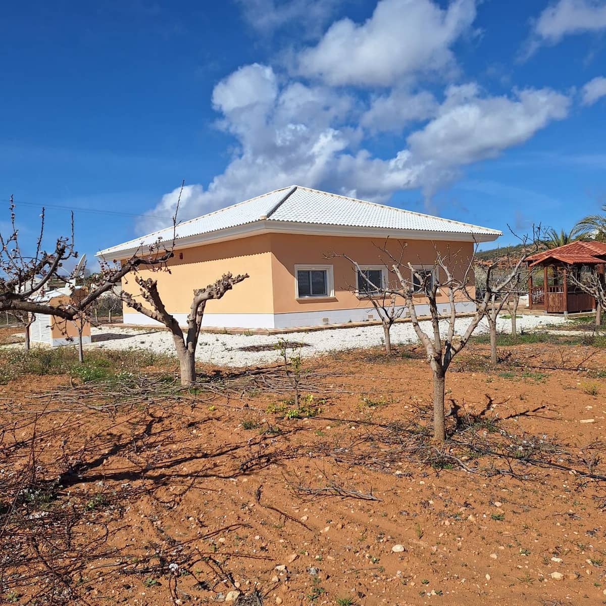 4 soverom Villa til salgs i Pinoso - € 595 000 (Ref: 10012448)
