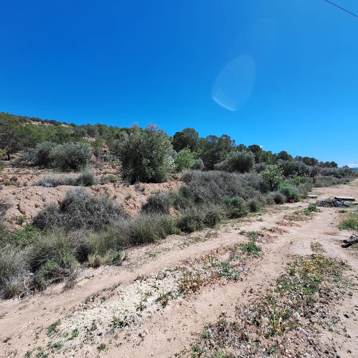 Solar/Parcela en Pinoso en venta - 45.000 € (Ref: 10012454)