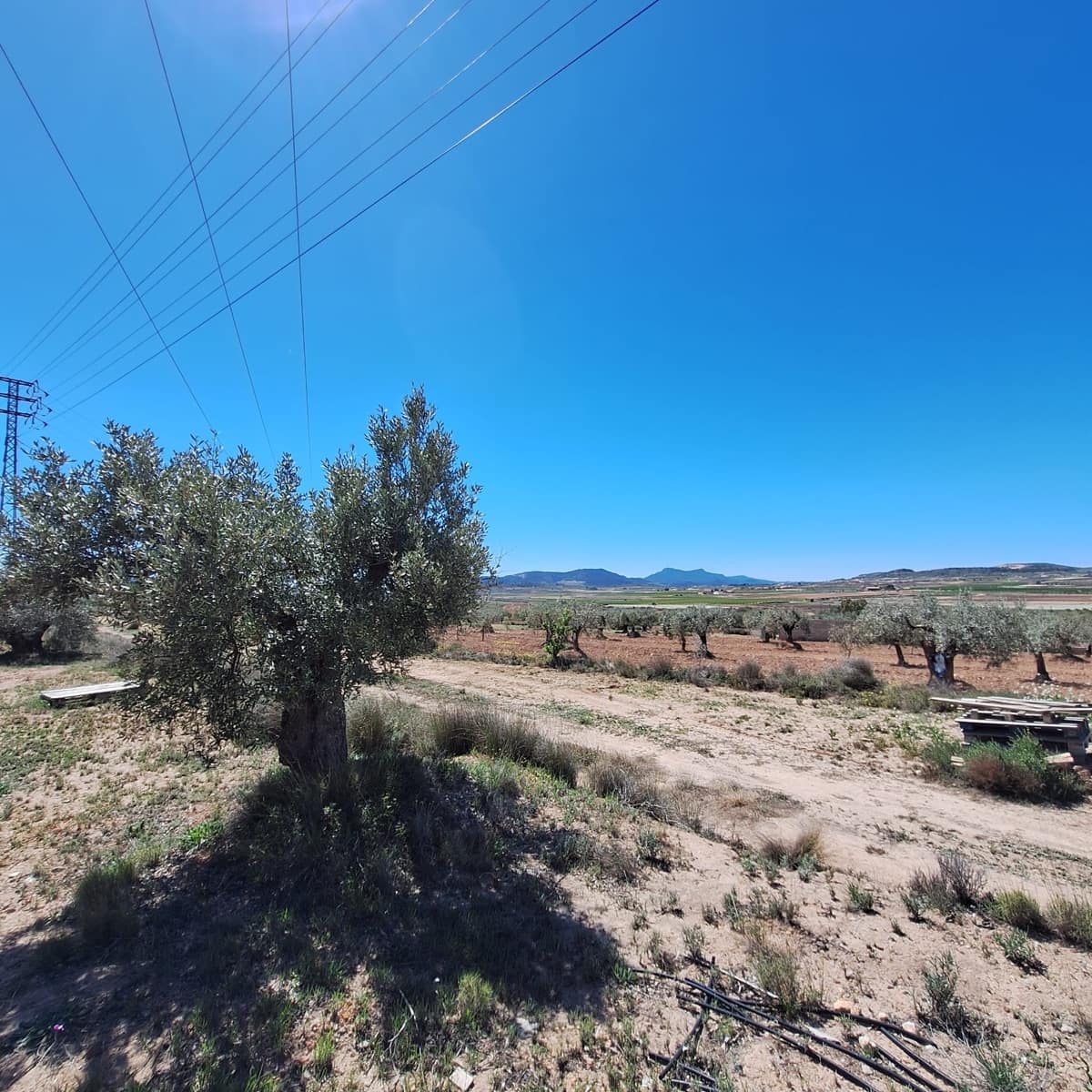 Solar/Parcela en Pinoso en venta - 45.000 € (Ref: 10012454)