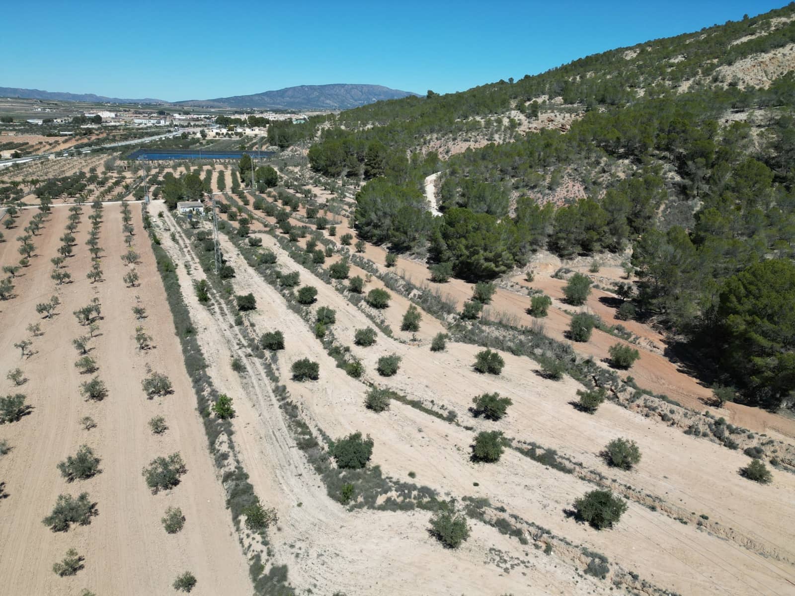 Solar/Parcela en Pinoso en venta - 45.000 € (Ref: 10012454)