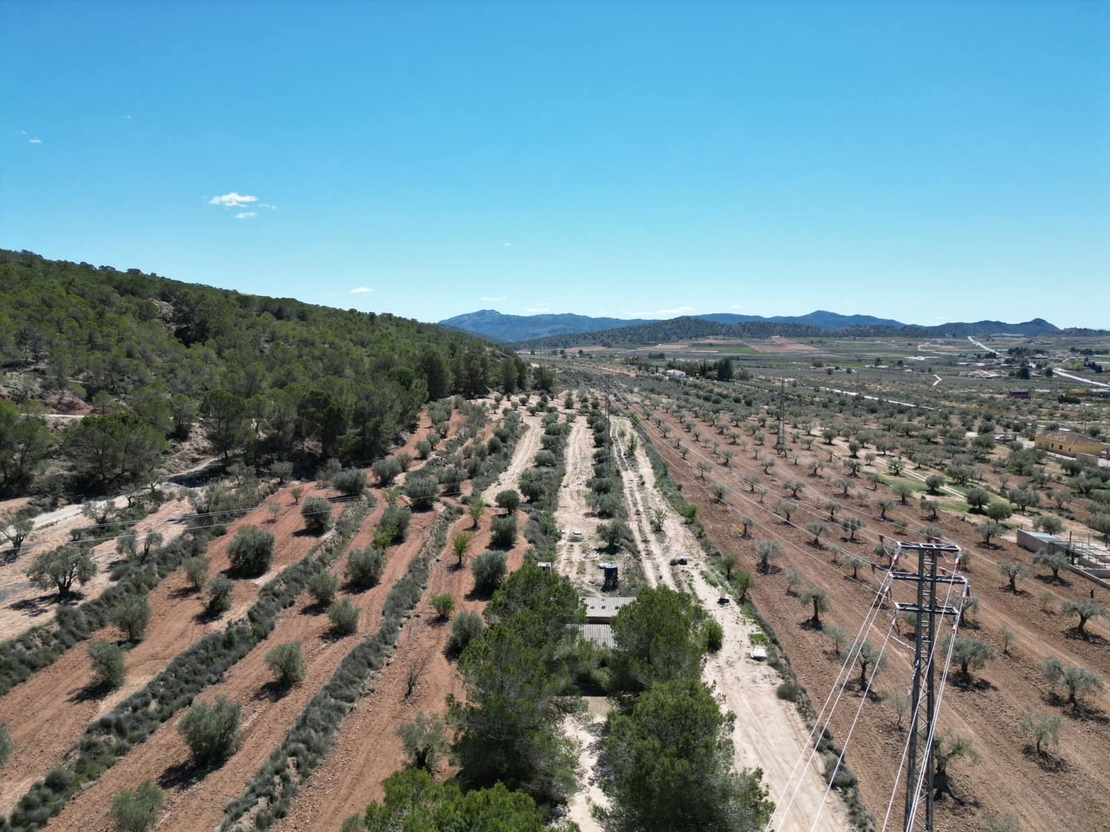 Solar/Parcela en Pinoso en venta - 45.000 € (Ref: 10012454)