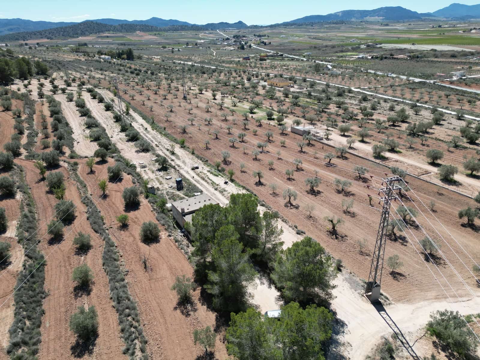 Solar/Parcela en Pinoso en venta - 45.000 € (Ref: 10012454)