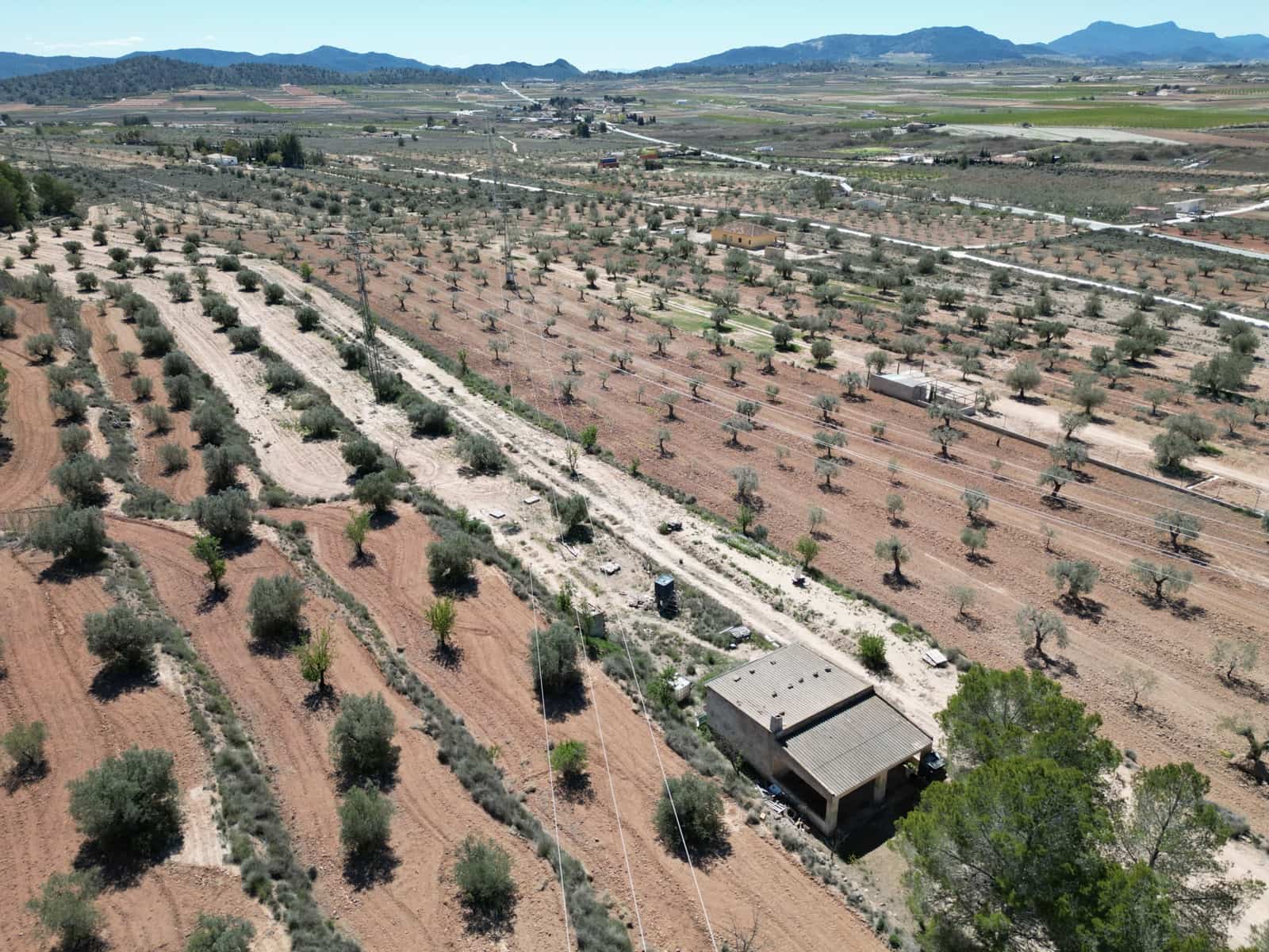 Solar/Parcela en Pinoso en venta - 45.000 € (Ref: 10012454)