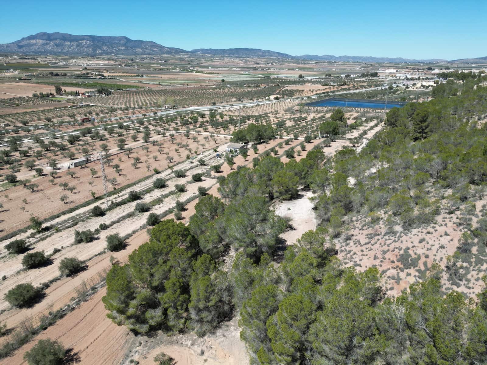 Solar/Parcela en Pinoso en venta - 45.000 € (Ref: 10012454)