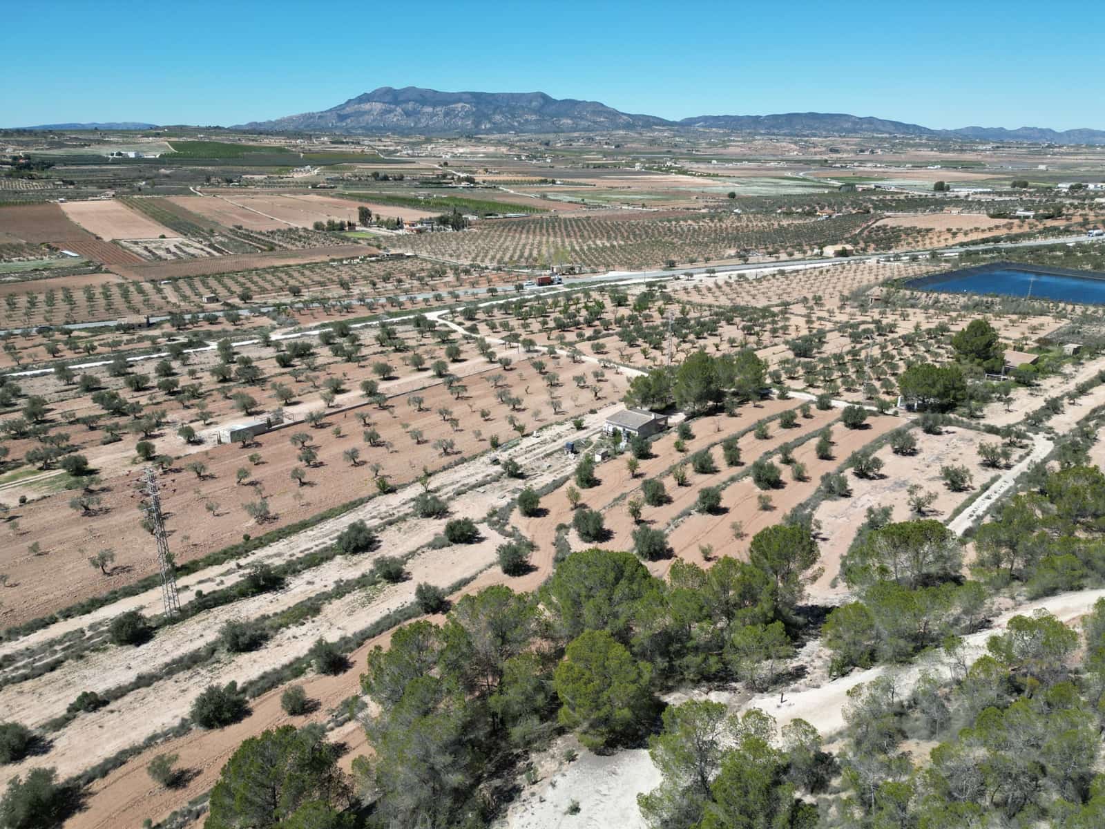Solar/Parcela en Pinoso en venta - 45.000 € (Ref: 10012454)