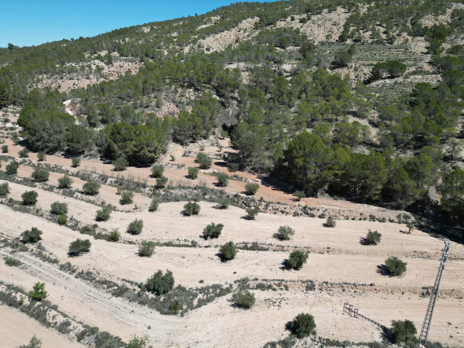 Solar/Parcela en Pinoso en venta - 45.000 € (Ref: 10012454)