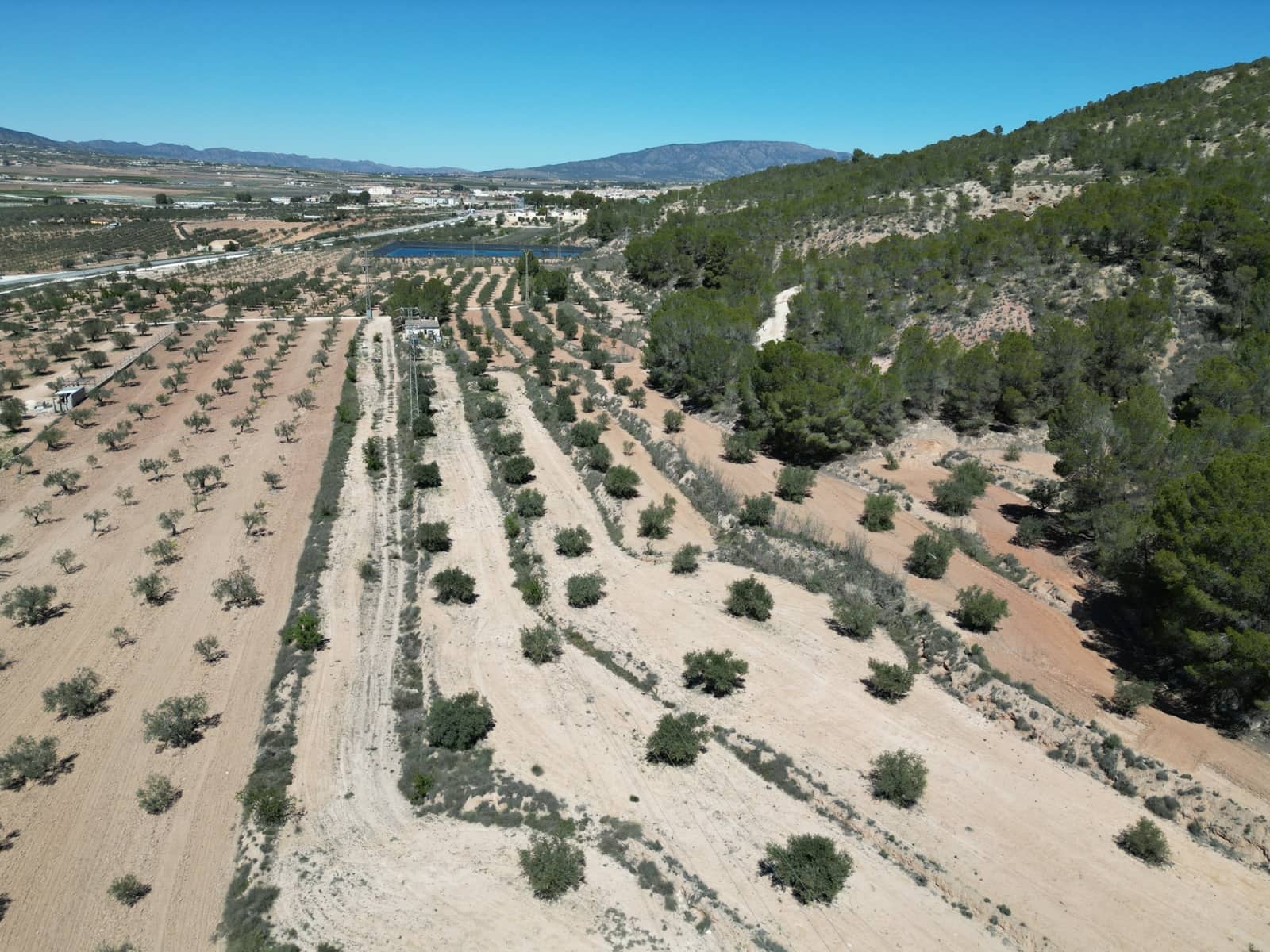 Solar/Parcela en Pinoso en venta - 45.000 € (Ref: 10012454)